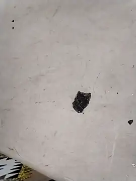 Rapunzal online show from March 23, 2026, 6:08 pm