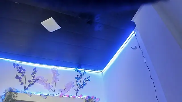 abbiecollins js online show from March 25, 2026, 4:45 am