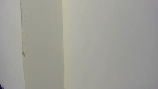 abbiecollins js online show from March 28, 2026, 4:24 am