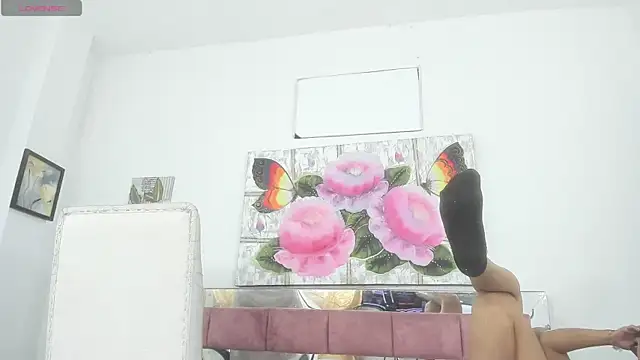 barbie ds online show from November 21, 2025, 12:04 pm