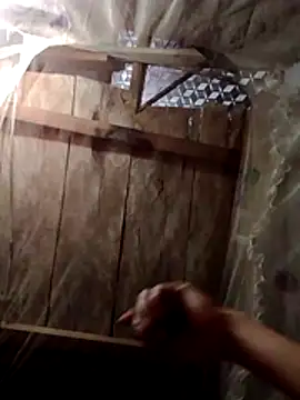 donna-bae online show from February 22, 2026, 10:33 pm