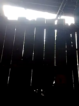 Snapshot of donna-bae chatting on October 10, 2025, 11:16 pm donna-bae online show from October 10, 2025, 11:16 pm