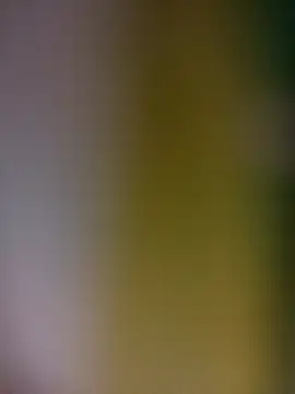 tulipsexy online show from February 19, 2026, 3:36 am