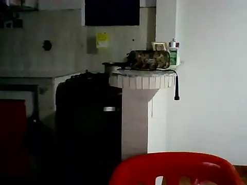 Snapshot of XavierFox1 chatting on November 18, 2025, 3:43 am XavierFox1 online show from November 18, 2025, 3:43 am