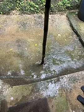 Gihan sil1088 online show from September 23, 2025, 3:46 am