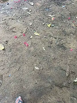 Gihan sil1088 online show from October 31, 2025, 10:12 am