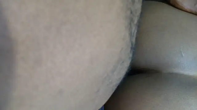 Dandelion enigman online show from October 10, 2025, 2:34 am