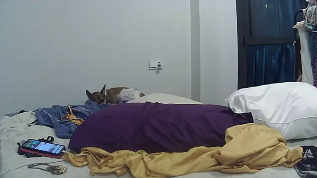 Catylandi1 online show from September 26, 2025, 5:03 am