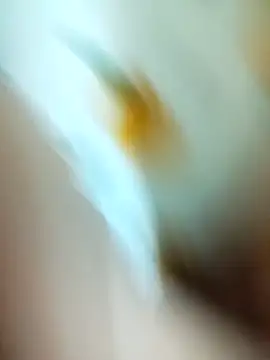 minh minh97 online show from January 17, 2026, 4:32 pm