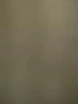 telugumodda4396 online show from December 19, 2025, 3:03 pm