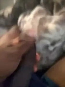 Blackveins32 online show from November 4, 2025, 9:46 am