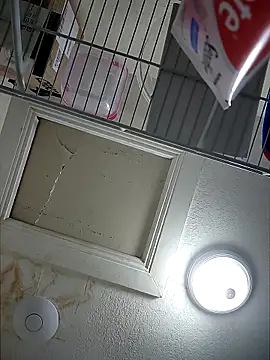 FIREMAN954 online show from February 10, 2026, 4:33 am