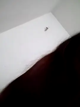 MamyRico online show from October 11, 2025, 3:57 pm