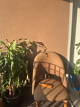 itsdanividarte online show from November 11, 2025, 9:42 pm