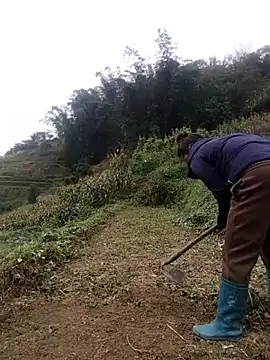 zhen-zo online show from October 31, 2025, 2:19 am