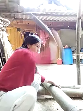 lmc-zz online show from November 30, 2025, 2:56 am