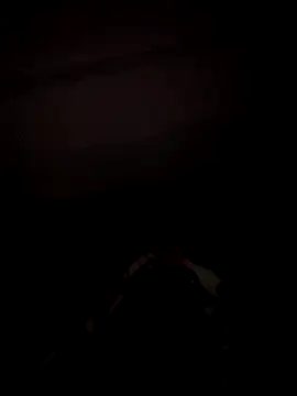 sseli online show from October 8, 2025, 4:14 am