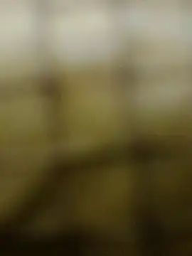 Rs sonam online show from December 3, 2025, 10:58 am