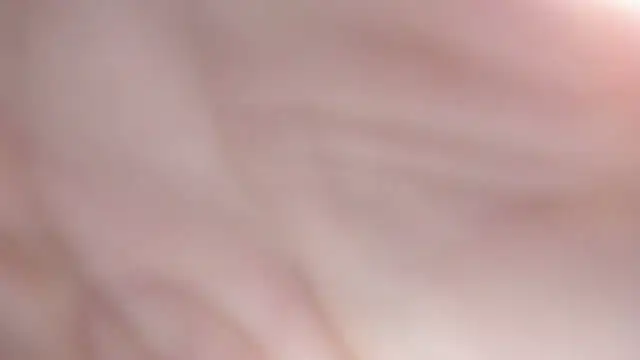 sackstor online show from September 17, 2025, 6:54 pm