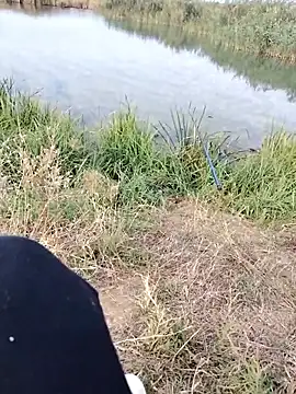 Dragos 01 online show from September 28, 2025, 6:42 am