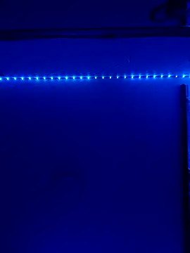 Taylor Sex6 online show from February 12, 2026, 8:25 am