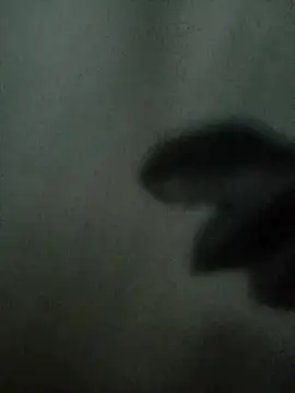 Snapshot of Mssbig chatting on November 4, 2025, 11:36 am Mssbig online show from November 4, 2025, 11:36 am