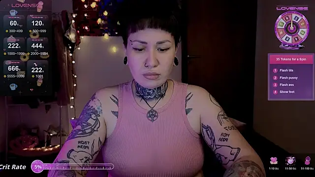 Senorita  Dakota online show from November 11, 2025, 8:31 am