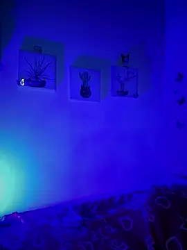 Snapshot of Solaangel_ chatting on December 17, 2025, 11:43 pm Solaangel online show from December 17, 2025, 11:43 pm