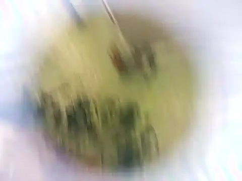 Masha412111 online show from October 22, 2025, 8:30 pm