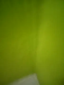 supcpl online show from February 12, 2026, 11:32 am