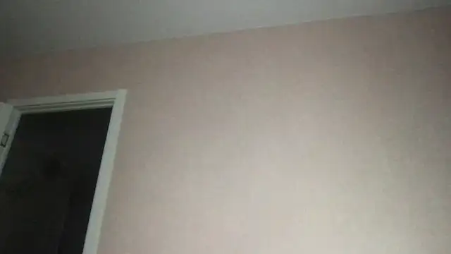 Snapshot of Bally_Bay chatting on November 23, 2025, 12:53 am Bally Bay online show from November 23, 2025, 12:53 am