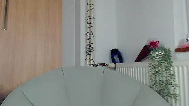 adacgrey online show from February 15, 2026, 6:51 pm