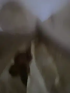 Moro-89 online show from April 5, 2026, 6:20 am