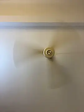 Nhefertary online show from March 4, 2026, 2:19 am