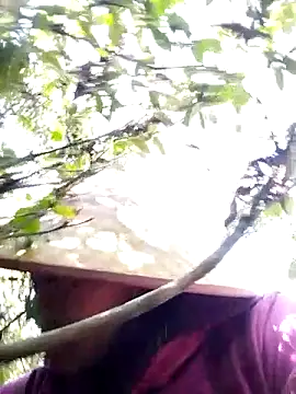 sumaybae online show from November 28, 2025, 7:08 am