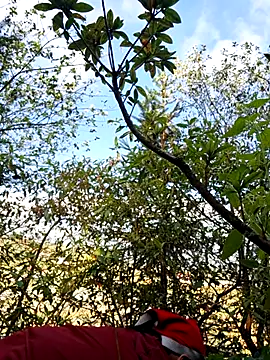 Snapshot of miomio-12 chatting on November 23, 2025, 2:43 am miomio-12 online show from November 23, 2025, 2:43 am