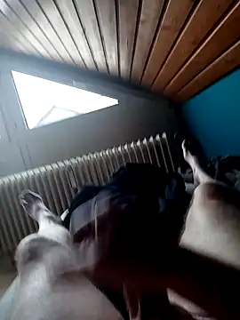 ImperlPerverso59 online show from October 17, 2025, 7:44 am