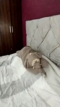 cieloking09 online show from February 28, 2026, 6:35 am