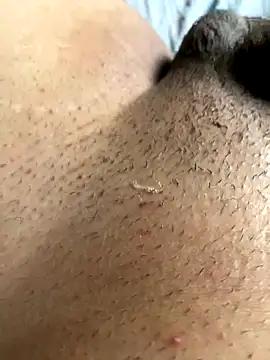 leiteiro2002 online show from November 5, 2025, 8:23 pm