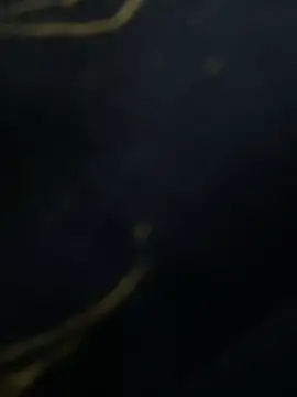 SiaraRealist online show from November 23, 2025, 5:39 am