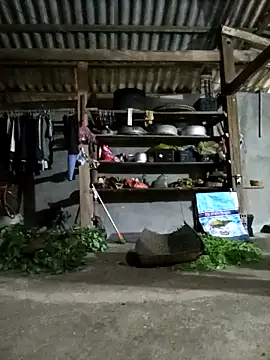 jerry-xx online show from April 19, 2026, 10:16 am