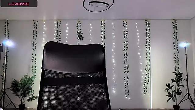 Alicia art  online show from November 28, 2025, 5:24 pm