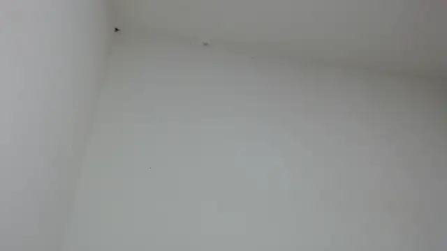 Snapshot of drako_monster chatting on January 31, 2026, 9:46 pm drako monster online show from January 31, 2026, 9:46 pm