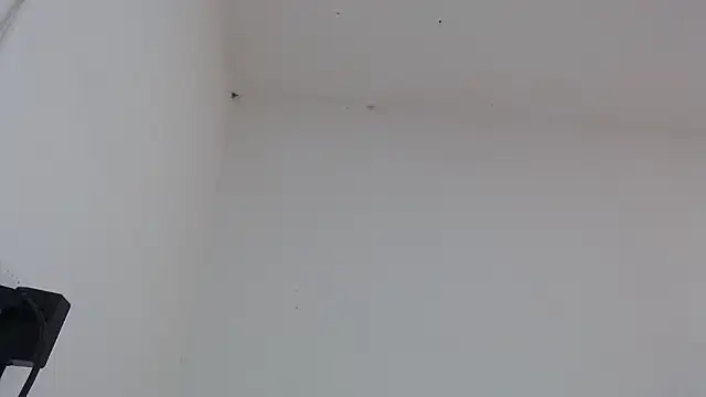 Snapshot of drako_monster chatting on February 4, 2026, 3:18 pm drako monster online show from February 4, 2026, 3:18 pm