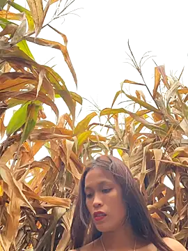 Snapshot of hi-hi-zz chatting on December 18, 2025, 1:55 am hi-hi-zz online show from December 18, 2025, 1:55 am