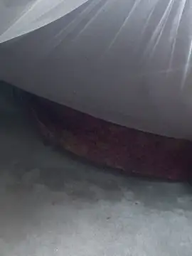 gio-thu online show from February 8, 2026, 2:42 am