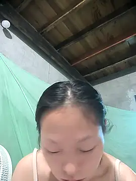 Zerin nova online show from November 1, 2025, 7:02 am