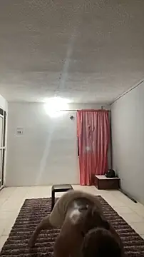 thepicis online show from March 13, 2026, 12:26 am