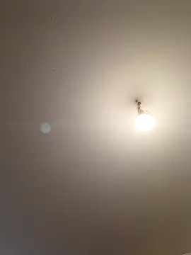 labellerose online show from April 5, 2026, 5:19 pm