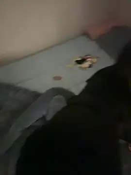 MISA 02 online show from February 9, 2026, 10:02 am